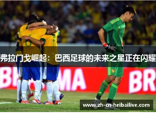 弗拉门戈崛起:巴西足球的未来之星正在闪耀 弗拉门戈崛起:巴西足球的未来之星正在闪耀
